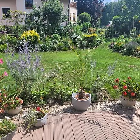 Don Papas Bueruh Apartment *