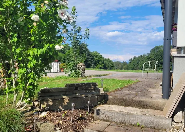 Apartament Don Papas Bueruh *