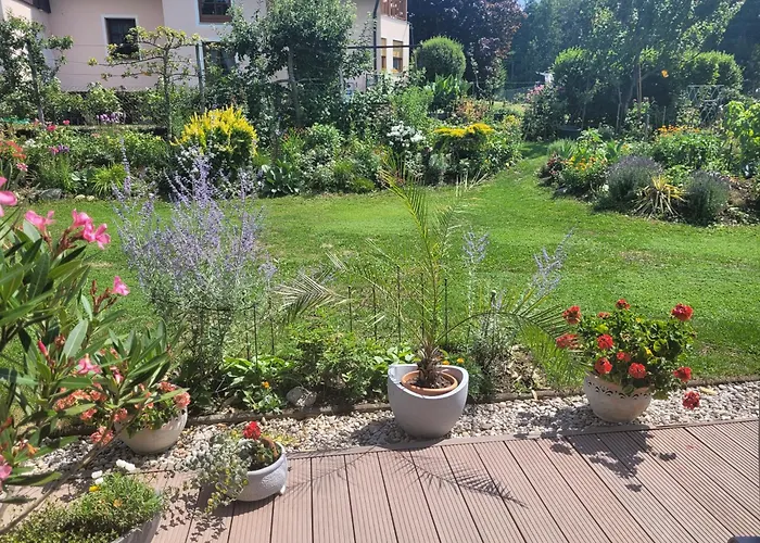 Don Papas Bueruh Apartament *