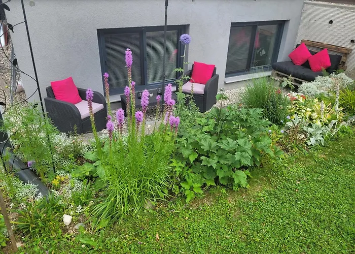 Don Papas Bueruh Apartament